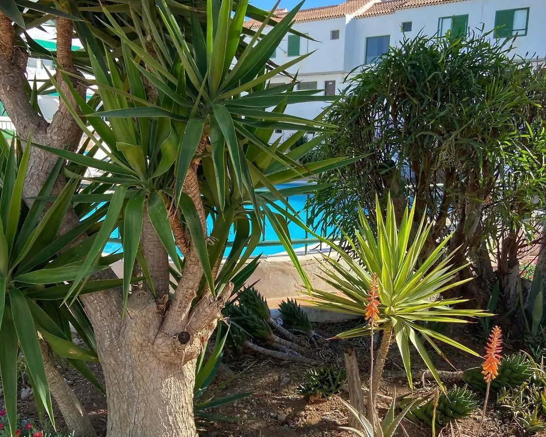 Apartamento Vacacional Paradise アロナ スペイン